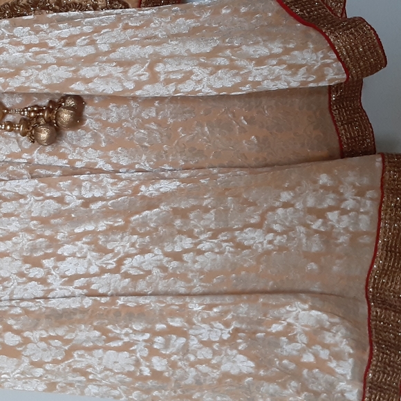 Indian/pakistani wedding dress - Picture 10 of 11